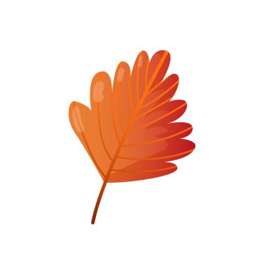 Sonbahar sonbahar renkli yaprak.