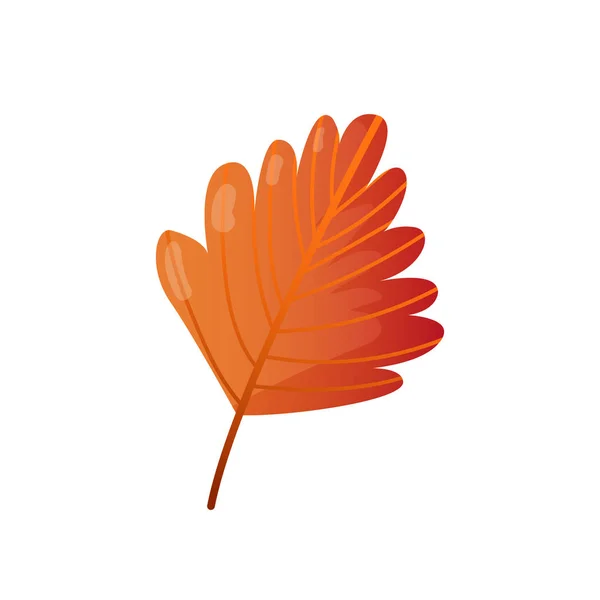 Autumn fall colorful leaf. — Stock Vector