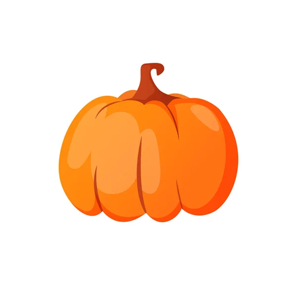 Calabaza madura naranja brillante aislada en blanco . — Vector de stock