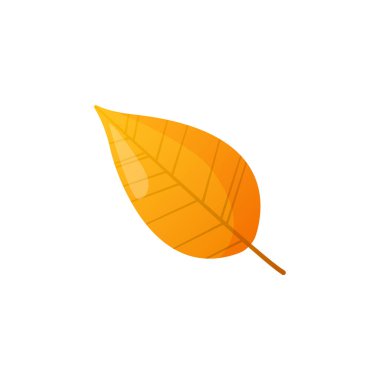 Sonbahar sonbahar renkli yaprak.