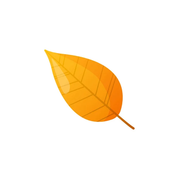 Autumn fall colorful leaf. — Stock Vector