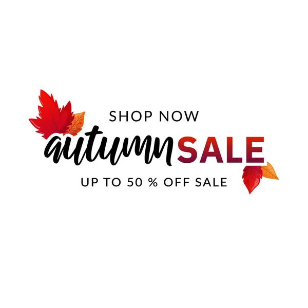 Automne discount vente texte isolé sur blanc . — Image vectorielle