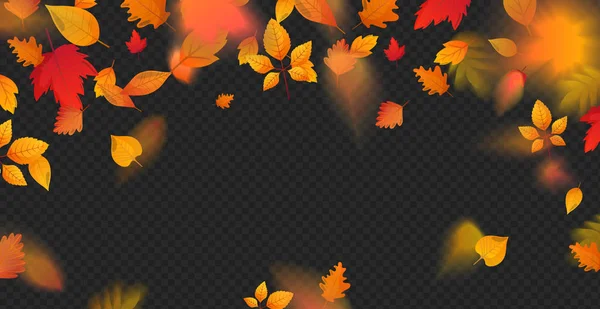 Arancione caduta foglie colorate volo effetto caduta . — Vettoriale Stock