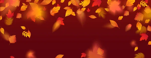 Orange fall colorful leaves flying falling effect. — Stock Vector