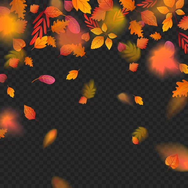 Orange fall colorful leaves flying falling effect. — Stock Vector