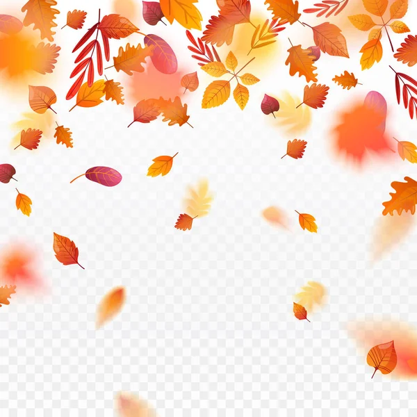 Orange fall colorful leaves flying falling effect. — Stock Vector