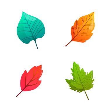 Parlak sonbahar yaprakları seti.