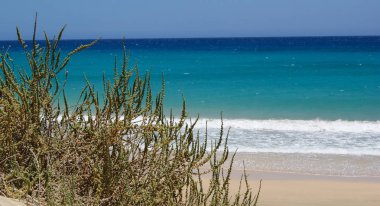 Turkuaz sularında Fuertevetura (Kanarya Adaları).