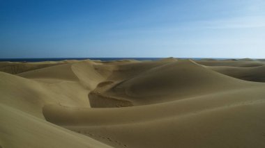 Kum tepeleri. Maspalomas (Kanarya Adaları)