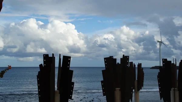 Железные Пальмы Аринаге Канарские Острова — стоковое фото