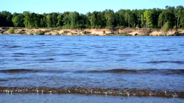 De wind drijft de golven op de rivier, meer, golven op een zandstrand. — Stockvideo