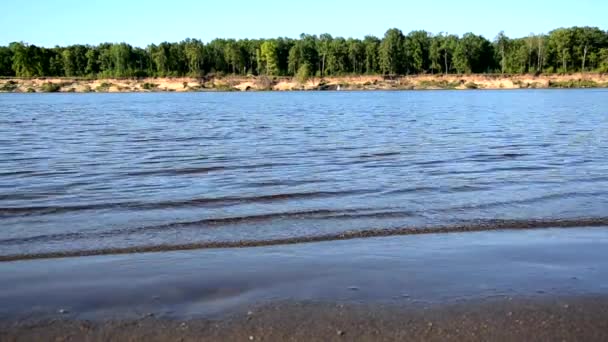 De wind drijft de golven op de rivier, meer, golven op een zandstrand. — Stockvideo