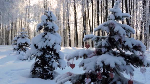 Χιονόπτωση στο δάσος, fir υποκατάστημα με ένα παιχνίδι Χριστούγεννα ταλαντεύεται με τον άνεμο — Αρχείο Βίντεο