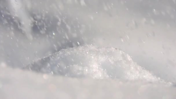Snöfall på vintern i skogen, många snöflingor falla till marken — Stockvideo