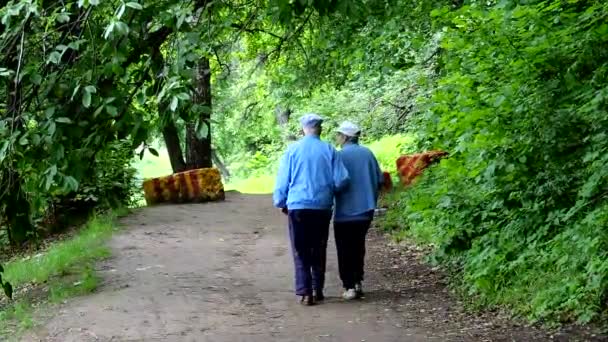 Stary z wiekiem, emerytury - szczęśliwa para senior spaceru w lato park miejski — Wideo stockowe