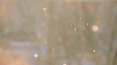 Kışın ormanda kar yağışı, kar yağarken yumuşak karlı bir Noel sabahı.