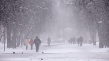Kar yağışı şehir, karlı yolda yürürken insanlar. Blizzard, kar fırtınası