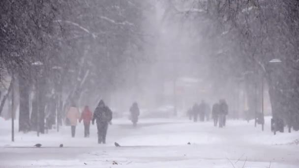 Snöfall i staden, människor som gick på snöig väg. Blizzard, snöstorm — Stockvideo