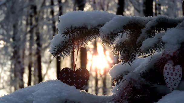 Nieve en el bosque, rama de abeto con un juguete de Navidad se balancea en el viento — Vídeos de Stock