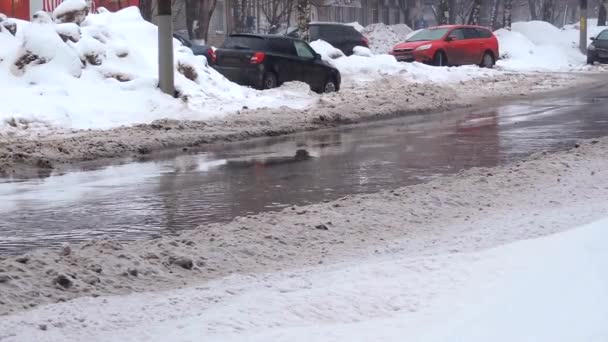 Schneefall in der Stadt, Autoverkehr auf der Straße durch eine Pfütze — Stockvideo
