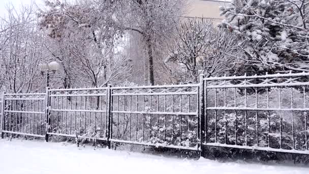 Kışın şehirde kar yağışı, kar yağarken yumuşak karlı bir Noel sabahı. — Stok video
