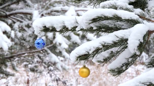 Sneeuwval in de winter in het bos, tak met Kerstmis speelgoed zwieren in de wind — Stockvideo