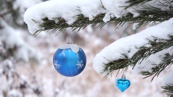 Neve cai no inverno na floresta, ramo com um brinquedo de Natal oscila no vento — Vídeo de Stock