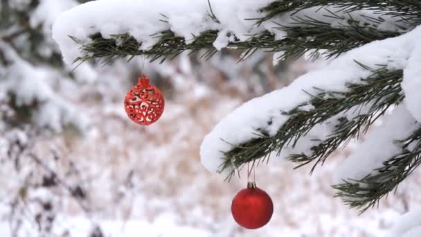 Sneeuwval in de winter in het bos, tak met Kerstmis speelgoed zwieren in de wind — Stockvideo