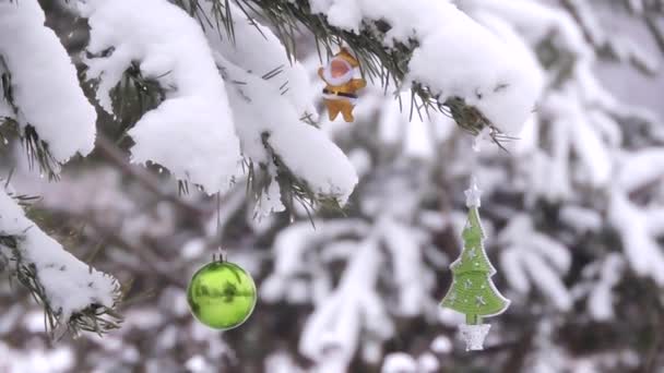 Снігопад взимку в лісі, гілка з різдвяною іграшкою гойдається на вітрі — стокове відео