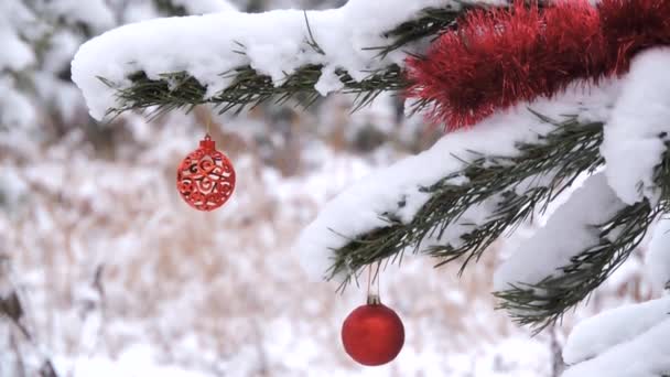 Schneefall im Winter im Wald, Ast mit Weihnachtsspielzeug wiegt sich im Wind — Stockvideo