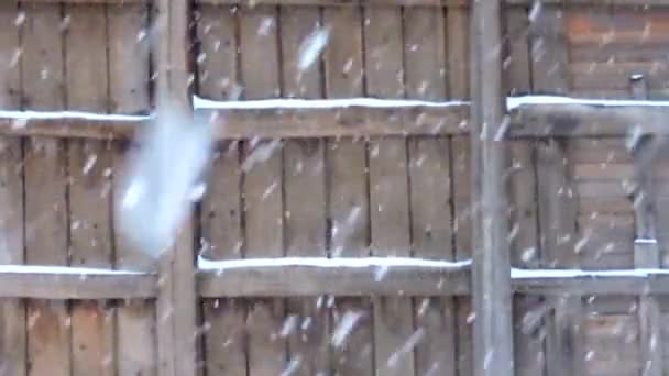 Nevada en invierno, suave mañana de Navidad nevada con nieve cayendo — Vídeos de Stock