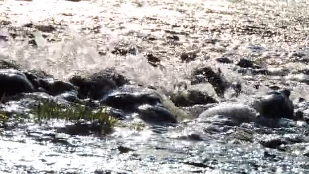 Cachoeira de montanha, riacho, rio. Salpicos de água sobre pedras na luz do sol — Vídeo de Stock