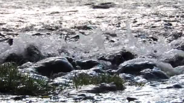 Cachoeira de montanha, riacho, rio. Salpicos de água sobre pedras na luz do sol — Vídeo de Stock