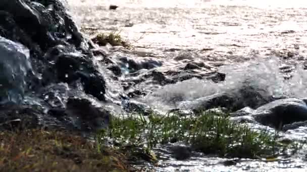 Cachoeira de montanha, riacho, rio. Salpicos de água sobre pedras na luz do sol — Vídeo de Stock