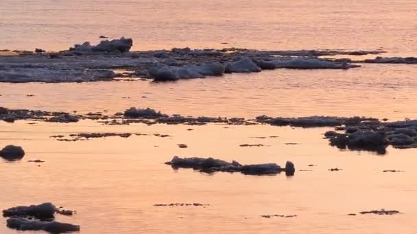 O gelo flutua na água, fragmentos de gelo no rio na primavera, deriva de gelo — Vídeo de Stock