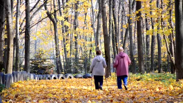 Deux femmes marchent dans la forêt d'automne. Feuilles d'érable tombantes 