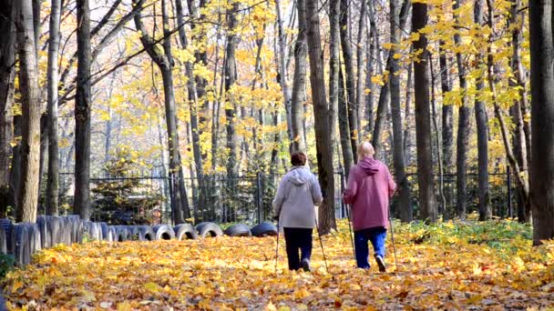 Δύο γυναίκες περπατούν στα βόρεια περπατώντας στο δάσος του φθινοπώρου. Πτώση φύλλα σφενδάμου — Αρχείο Βίντεο