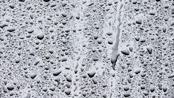 Krople kapiące na szybę podczas deszczu. Piękne szare białe abstrakcyjne tło — Wideo stockowe