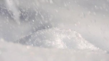 Kışın ormanda kar yağışı. Kar ve kar taneleri birbirine yakın, kar taneleri kar yağarken yere düşüyor.