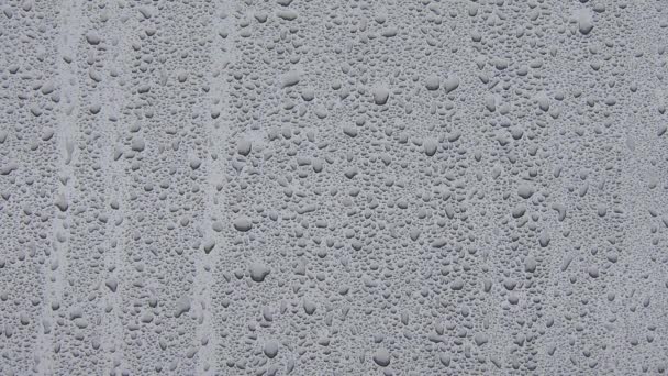 비가 오는 동안 유리에 물방울을 떨어뜨린다. 아름다운 회색의 추상적 배경 — 비디오