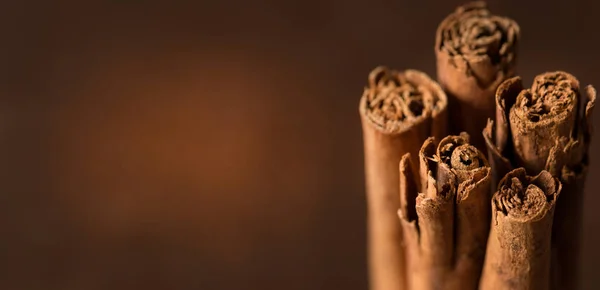 Ceylon cinnamon sticks — Stock Photo, Image
