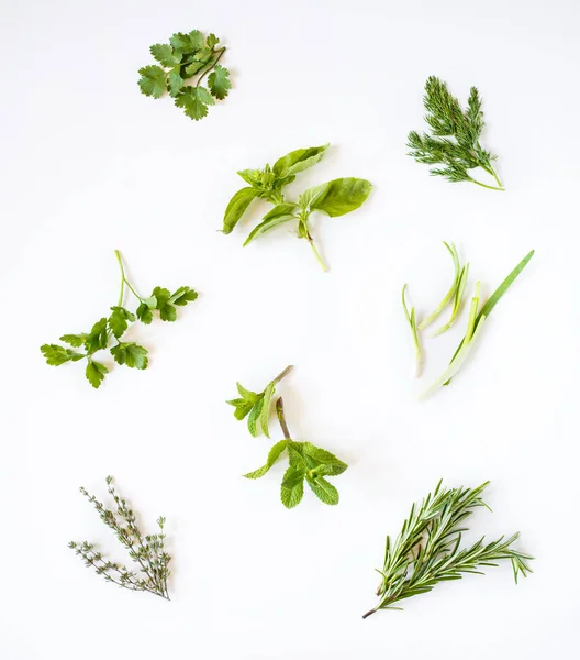 Herbes épicées fraîches — Photo