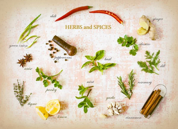 Herbs and spices — Stock Photo, Image