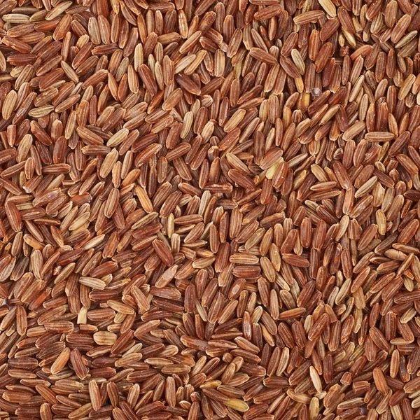 Superficie cubierta con granos de arroz integral — Foto de Stock