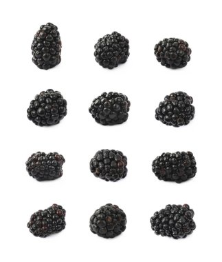 İzole tek böğürtlen meyve