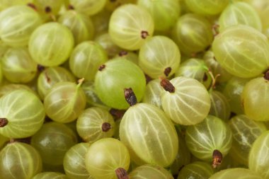 Bektaşi ile kaplı yüzey