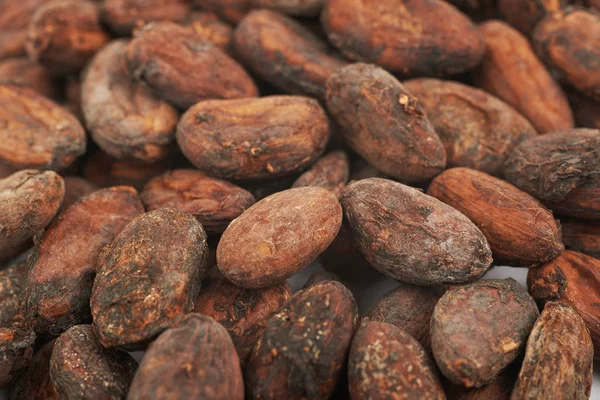 Frijoles de cacao composición de fondo — Foto de Stock