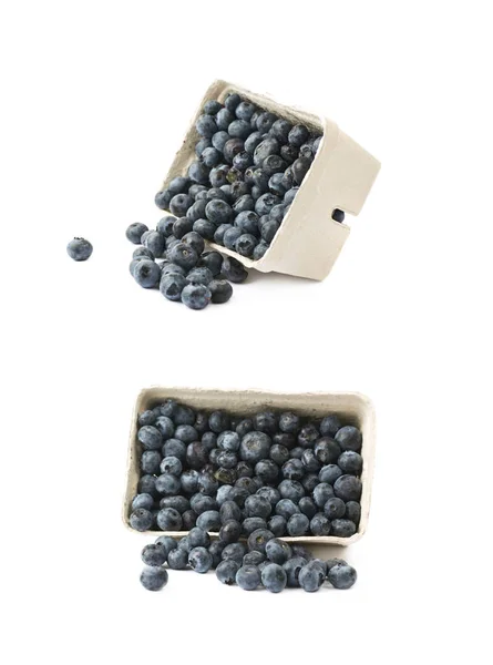Box of blueberries isolated — Stock Photo, Image