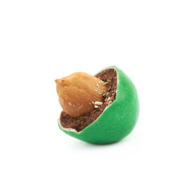 İzole sırlı çikolatalı fındık candy