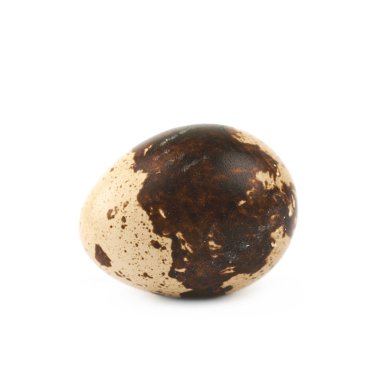 İzole kompozisyon bıldırcın yumurtası